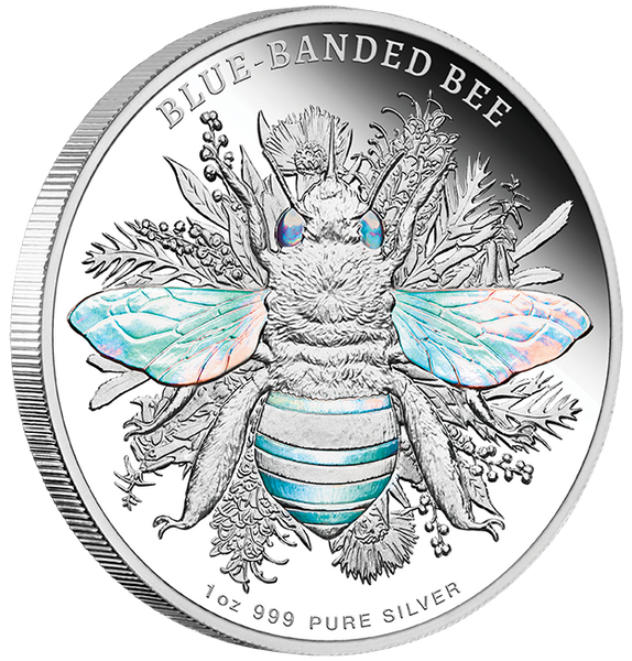 Australian Native Bees - Blue-banded Bee 2025 1oz Silver Proof Hologram Coin