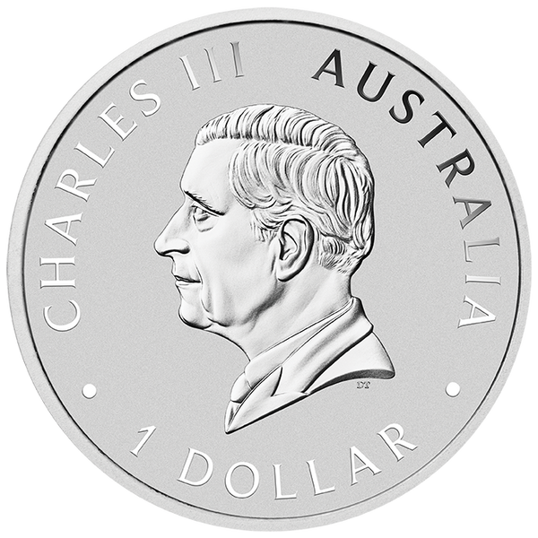 Brisbane Money Expo 2025 - Koala 2025 1oz Silver Coloured Coin in Card ANDA