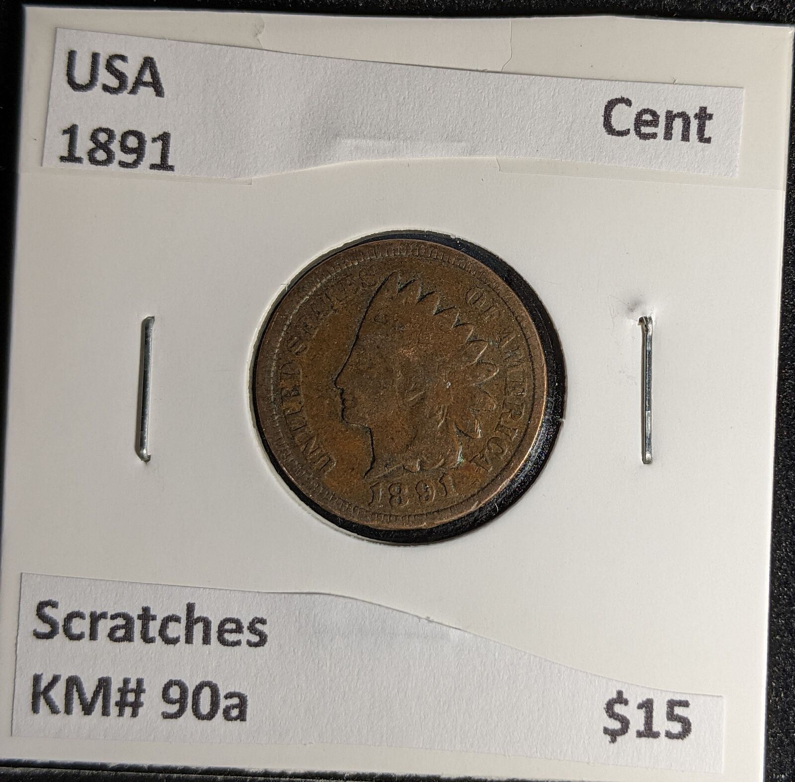 USA 1891 Cent KM# 90a Scratches #244 #29A