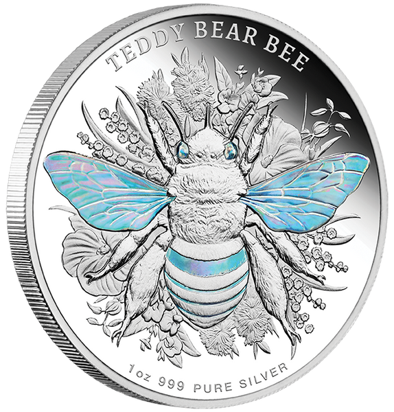 2026 Australian Native Bees - Teddy Bear Bee 1oz Silver Proof Hologram Coin