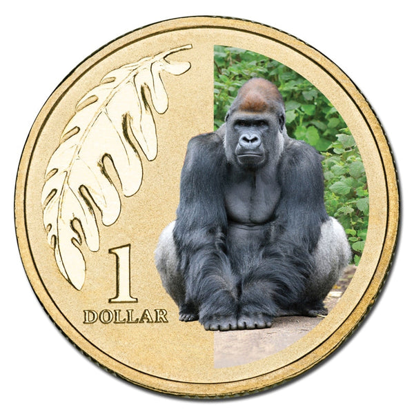 2012 $1 Animals of the Zoo Series coloured coin - Western Lowland Gorilla