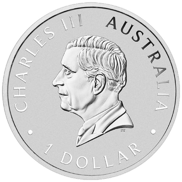 2026 ANDA Perth Money Expo - Australian Coloured Swan 1oz Silver Proof Coin