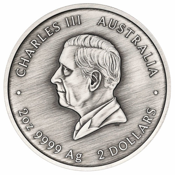 Turtle Yaunati 2026 $2 Australia Colour 2oz Silver Antique Coin