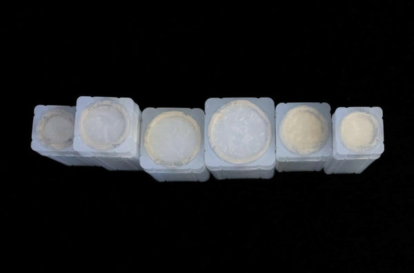 Australian Coin Roll Tubes - Singles - Nova Coins