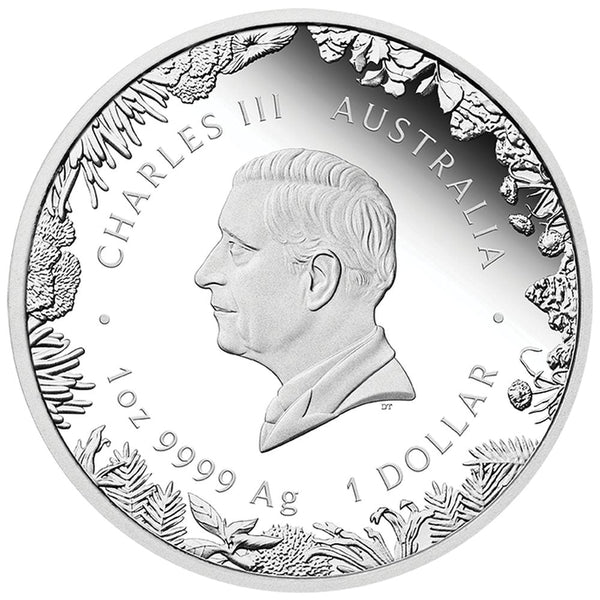 Wonders of Australia - The Outback 2026 1oz Silver Proof Coin