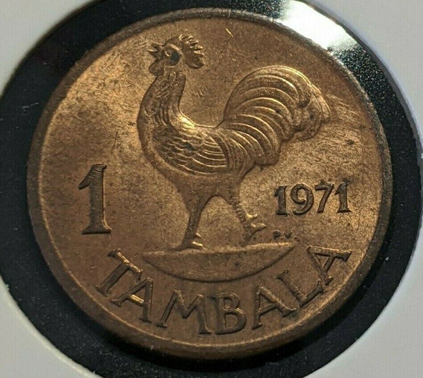 Malawi 1971 Tambala KM# 7.1