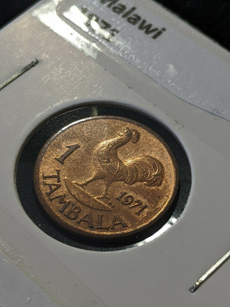 Malawi 1971 Tambala KM# 7.1