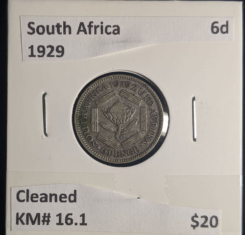 South Africa 1929 6 Pence Sixpence 6d KM# 16.1 Cleaned #037 #24C