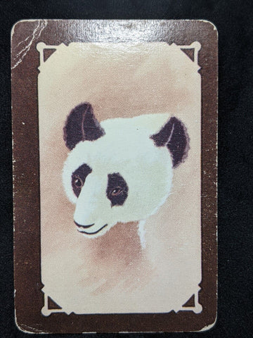 Swap Card Coles Blank Back Un-Named Series Original 1950's - Cute Panda Bear #51