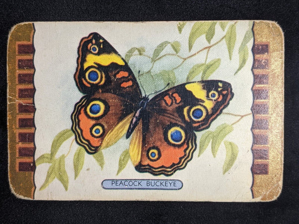 Swap Card Coles Named Series Original 1950's - Peacock Buckeye #059