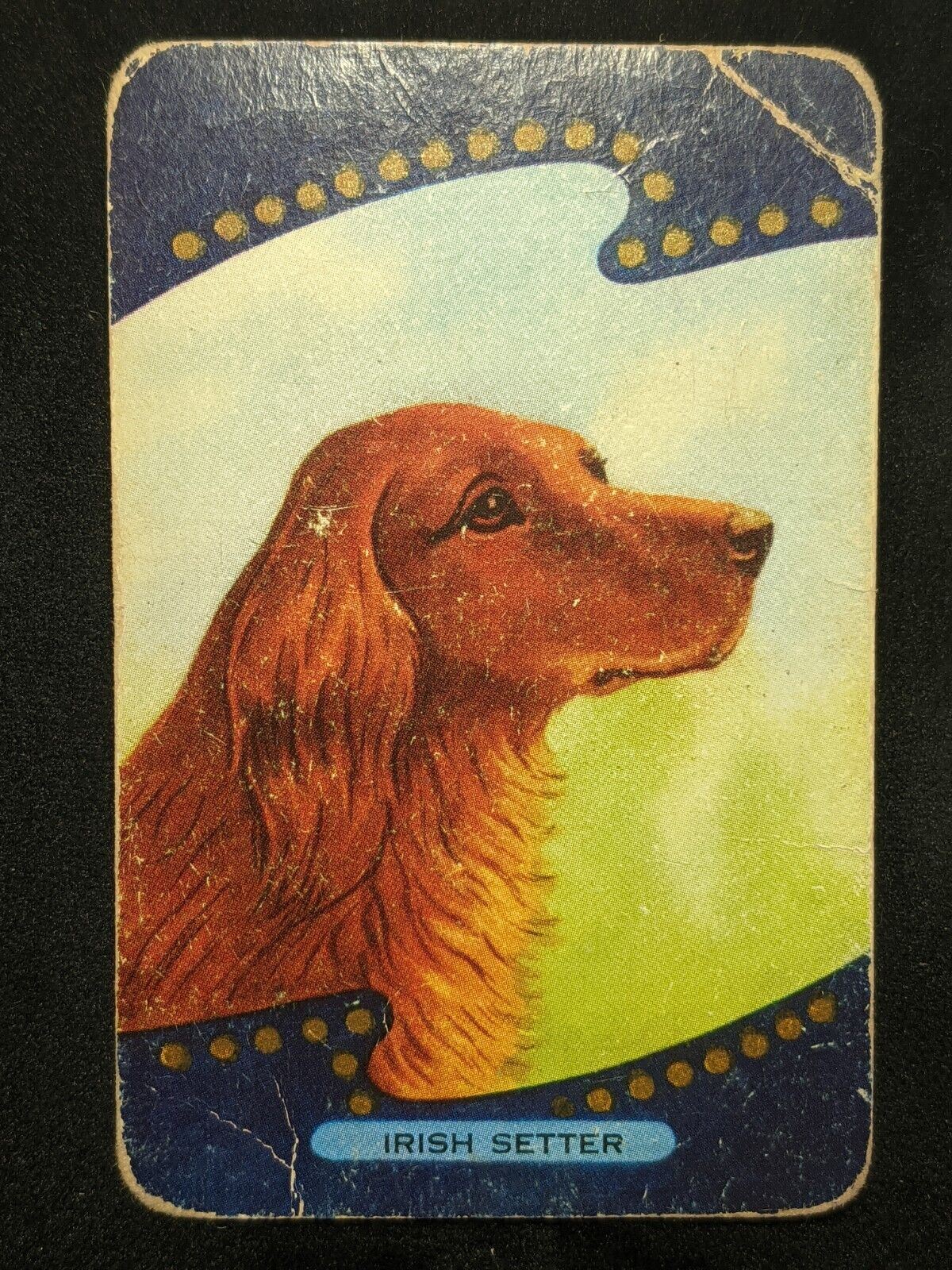 Swap Card Coles Named Series Original 1950's - Irish Setter #134