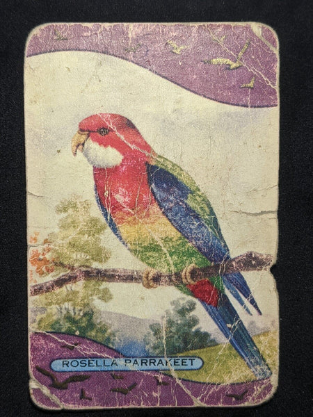 Swap Card Coles Named Series Original 1950's - Rosella Parrakeet #076
