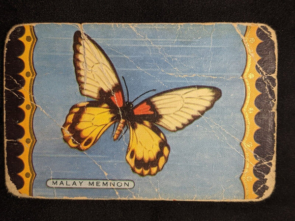 Swap Card Coles Named Series Original 1950's - Malay Memnon #053