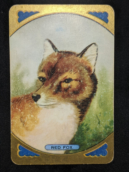 Swap Card Coles Named Series Original 1950's - Red Fox #115
