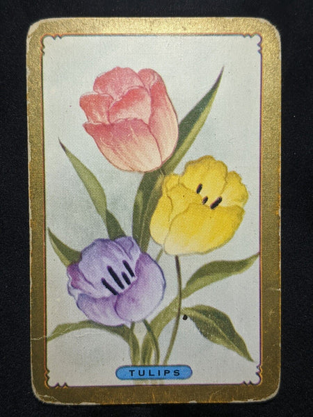 Swap Card Coles Named Series Original 1950's - Tulips #121