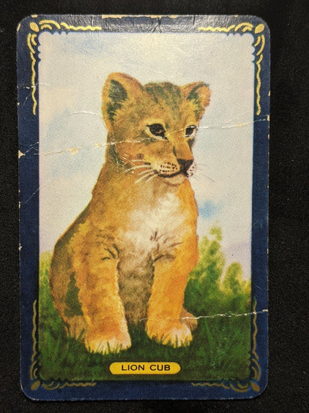 Swap Card Coles Named Series Original 1950's - Loin Cub #128