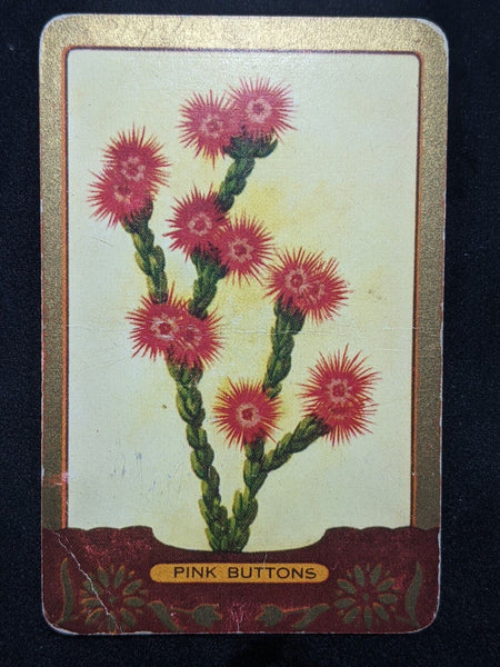 Swap Card Coles Named Series Original 1950's - Pink Buttons #148