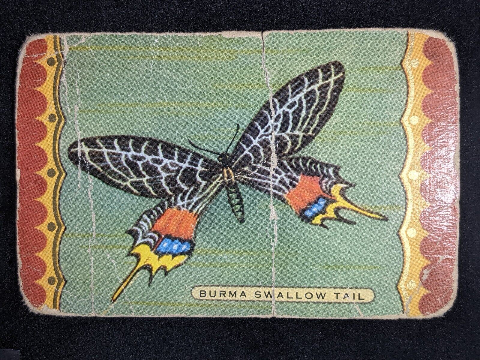 Swap Card Coles Named Series Original 1950's - Burma Swallow Tail #050