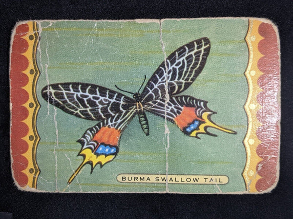 Swap Card Coles Named Series Original 1950's - Burma Swallow Tail #050