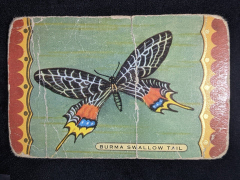 Swap Card Coles Named Series Original 1950's - Burma Swallow Tail #050