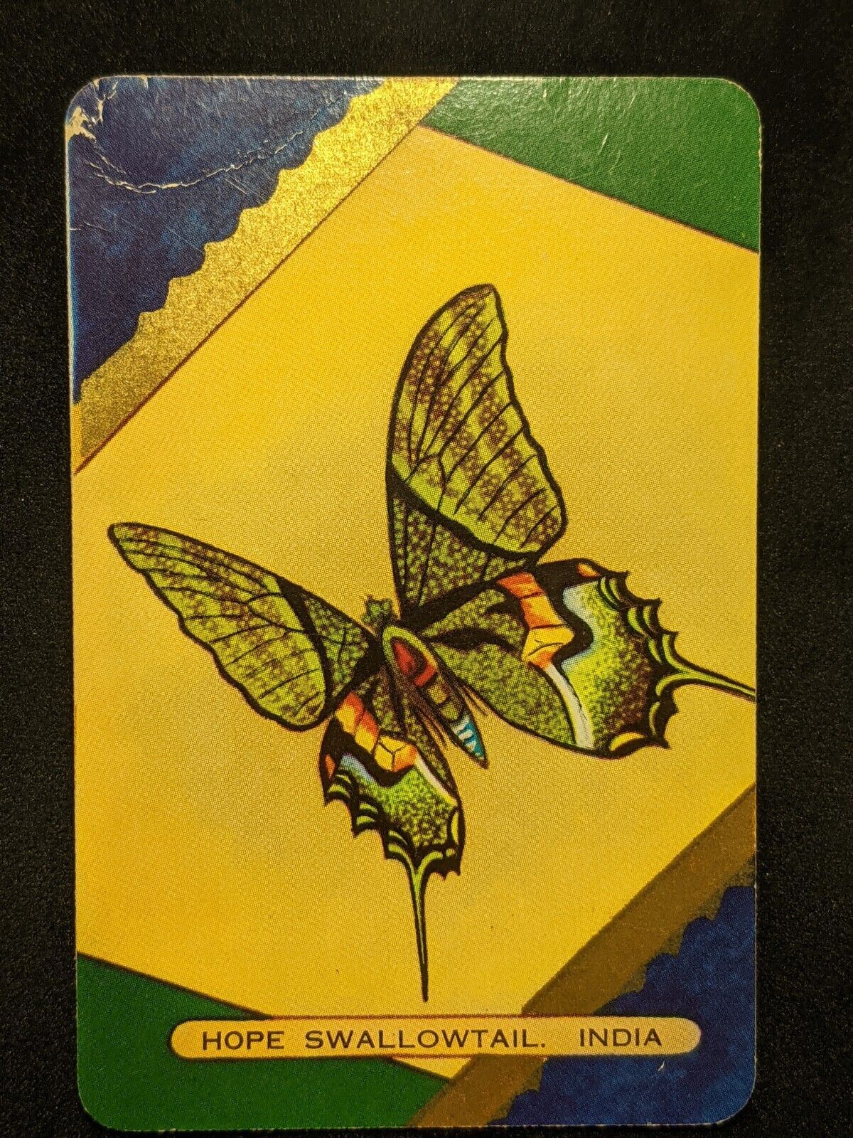 Swap Card Coles Named Series Original 1950's - Hope Swallowtail India #080