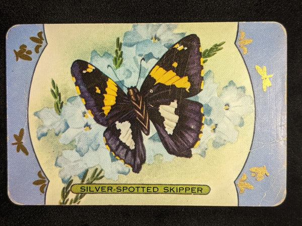 Swap Card Coles Named Series Original 1950's - Silver Spotted Skipper #057