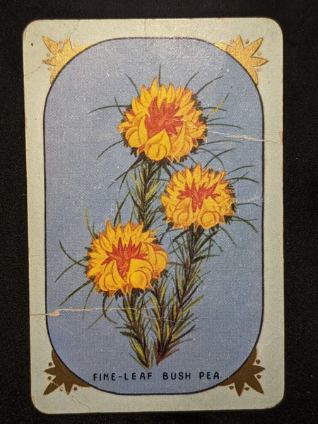 Swap Card Coles Named Series Original 1950's - Fine - Leaf Bush Pea  #108
