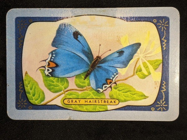 Swap Card Coles Named Series Original 1950's - Gray Hairstreak #065