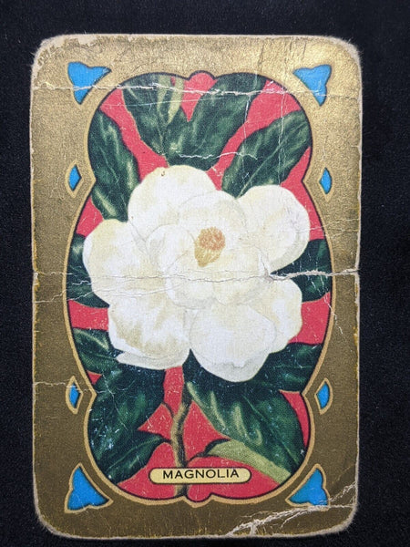 Swap Card Coles Named Series Original 1950's - Magnolia #152
