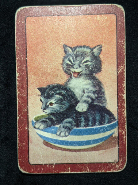 Swap Card Coles Blank Back Un-Named Series Original 1950's - Kittens in Bowl #46