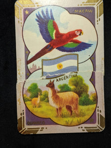 Swap Card Coles Named Series Original 1950's - Argentina Macaw & Guanaco Damaged