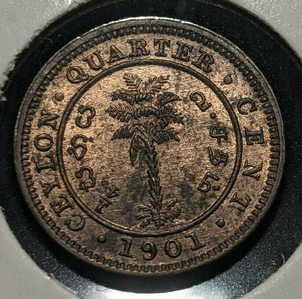 Ceylon 1901 1/4 Cent KM# 90  #240