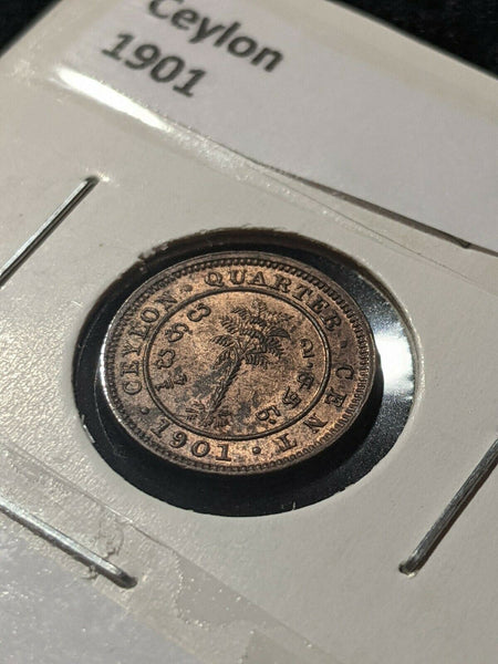 Ceylon 1901 1/4 Cent KM# 90  #240