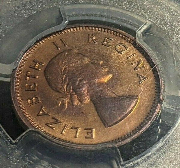 South Africa 1955 Proof Farthing 1/4D PCGS PR66RB GEM UNC KM# 44 #1623