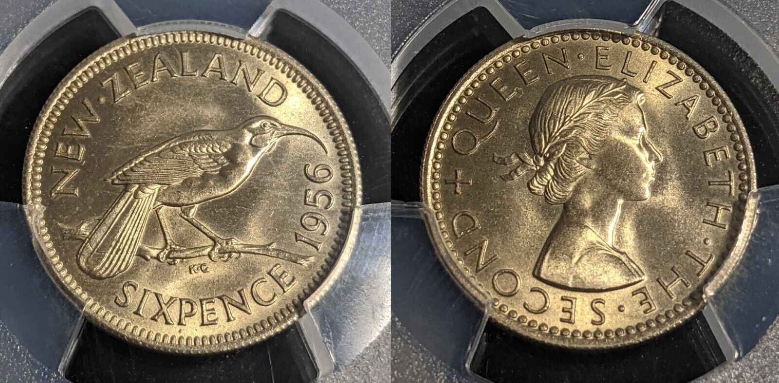 New Zealand 1956 Sixpence 6d KM# 26.2 PCGS MS65 GEM UNC #2840