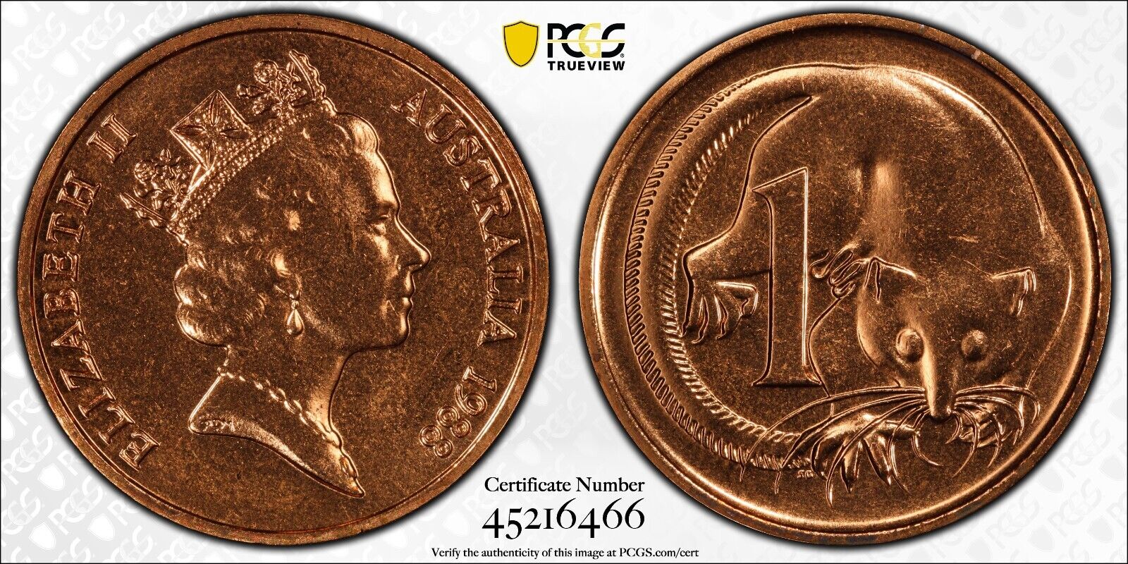 1988 One Cent 1c Australia PCGS MS65RD GEM UNC #2999