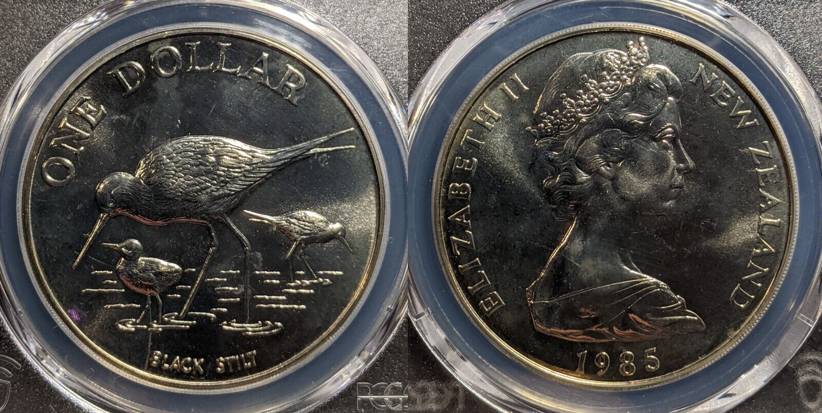 New Zealand 1985 One Dollar $1 Black Stilt PCGS MS67 FDC GEM UNC #3270