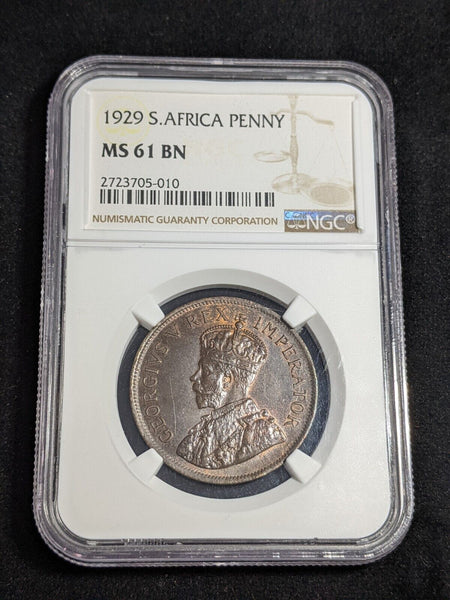 South Africa 1929 Penny 1d KM# 14.2 NGC MS61 BN #3505